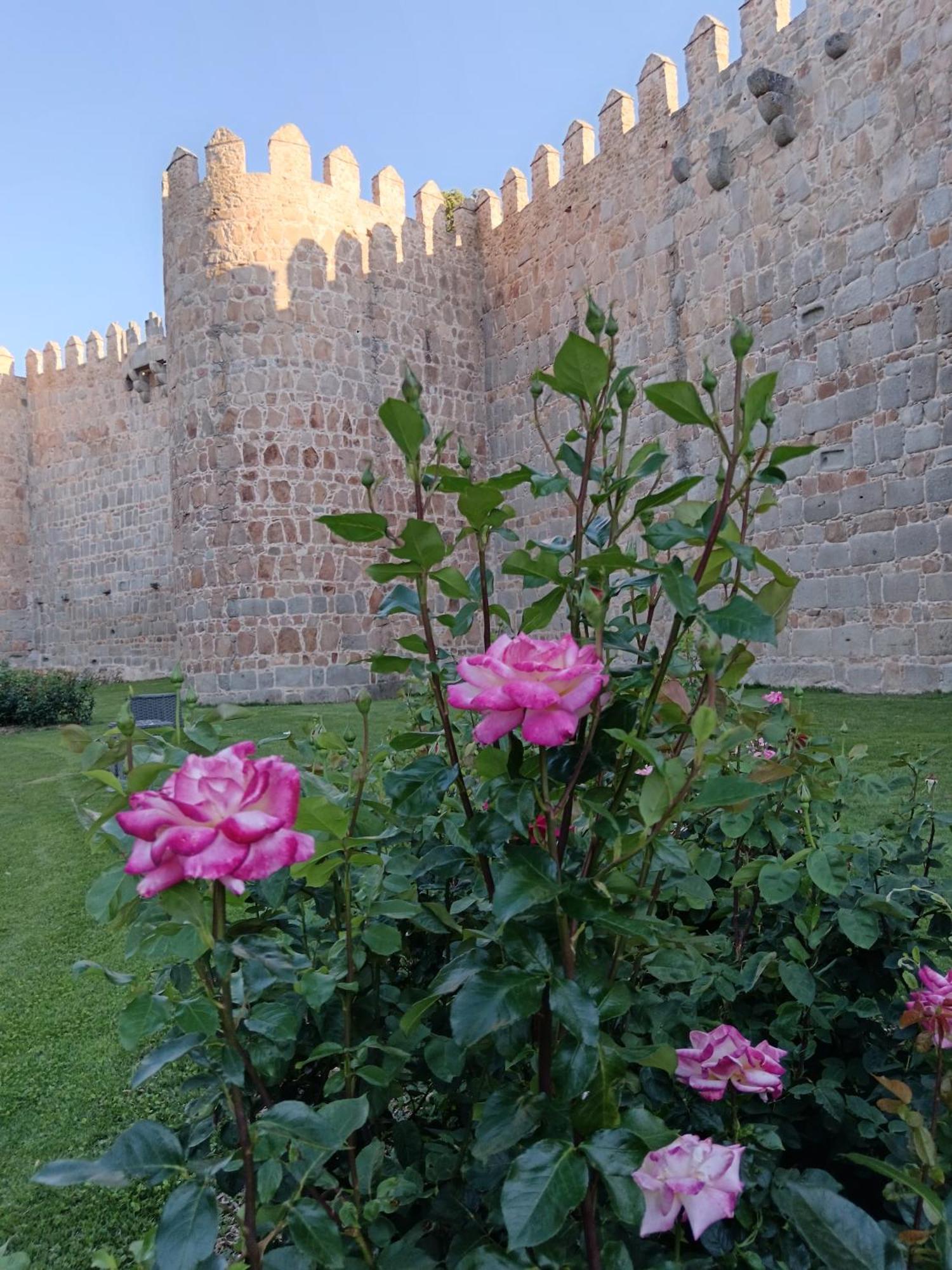 Hotel Don Carmelo Ávila Zewnętrze zdjęcie